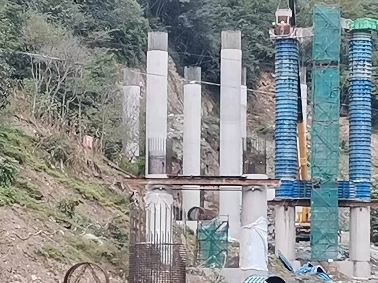 香港免费资料六会宝典
