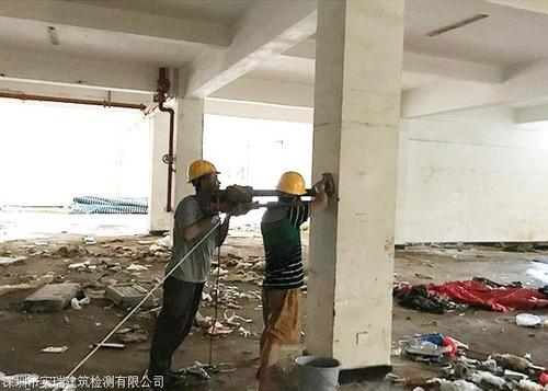 香港免费资料六会宝典