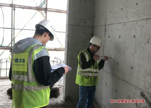 香港免费资料六会宝典