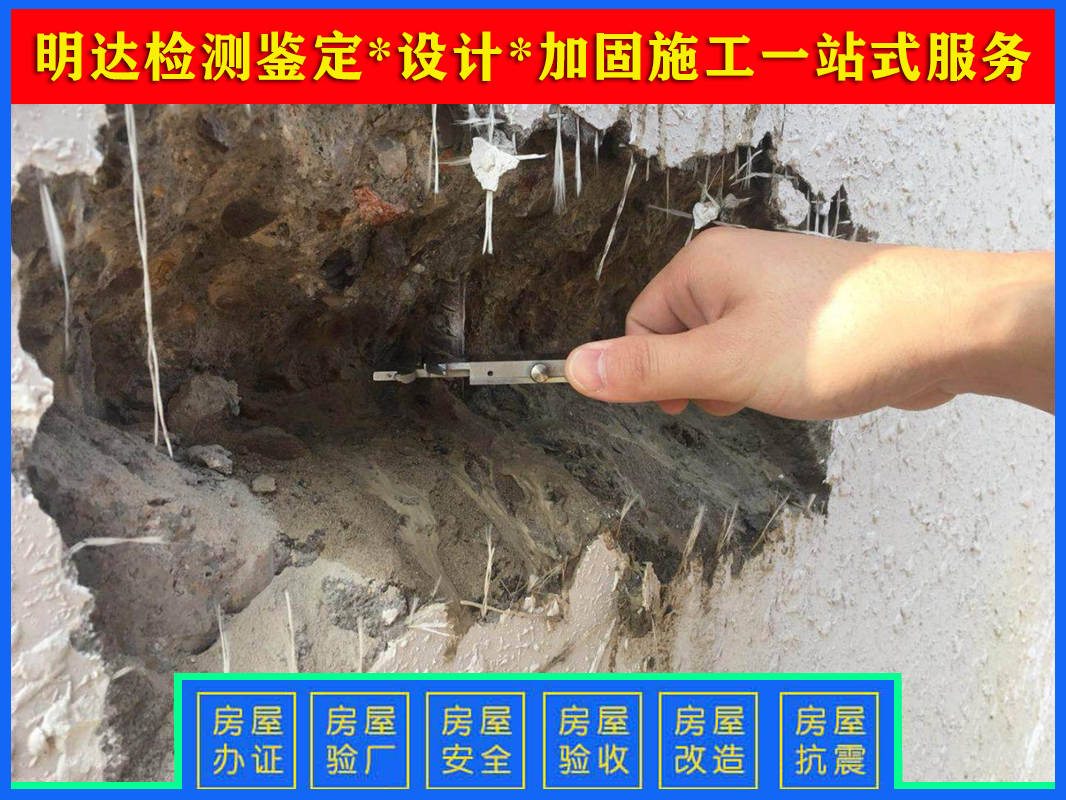 香港免费资料六会宝典