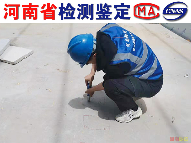 香港免费资料六会宝典