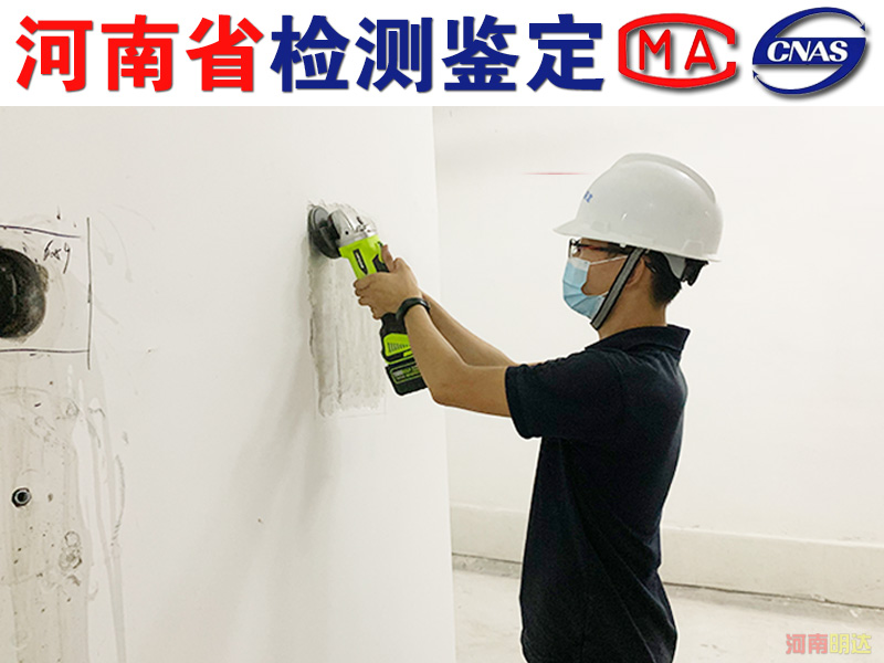 香港免费资料六会宝典