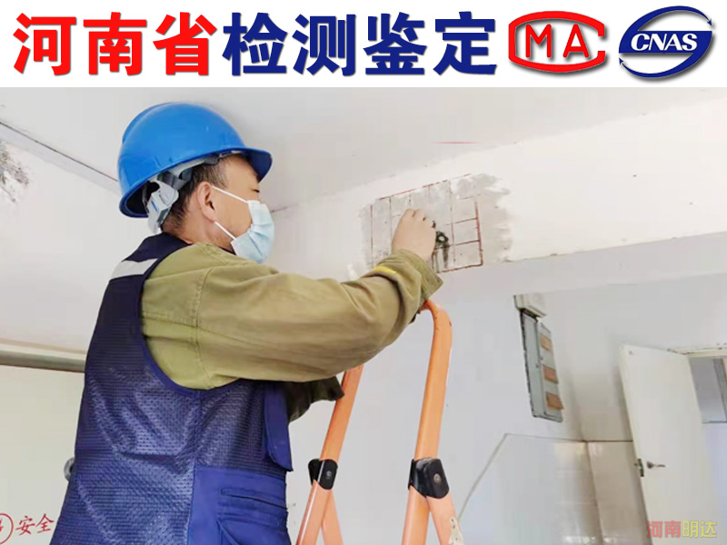 香港免费资料六会宝典