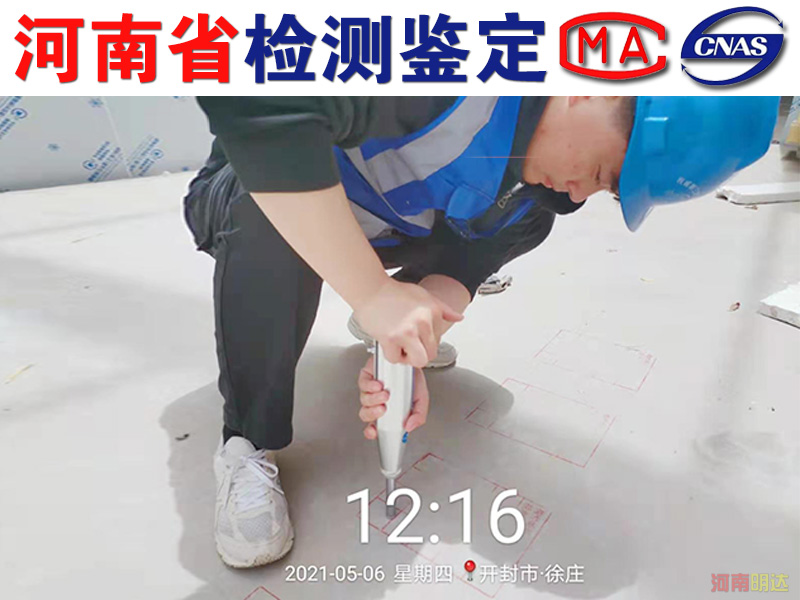 香港免费资料六会宝典