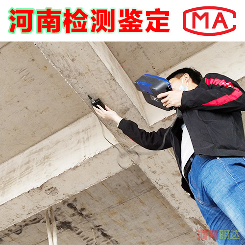 香港免费资料六会宝典