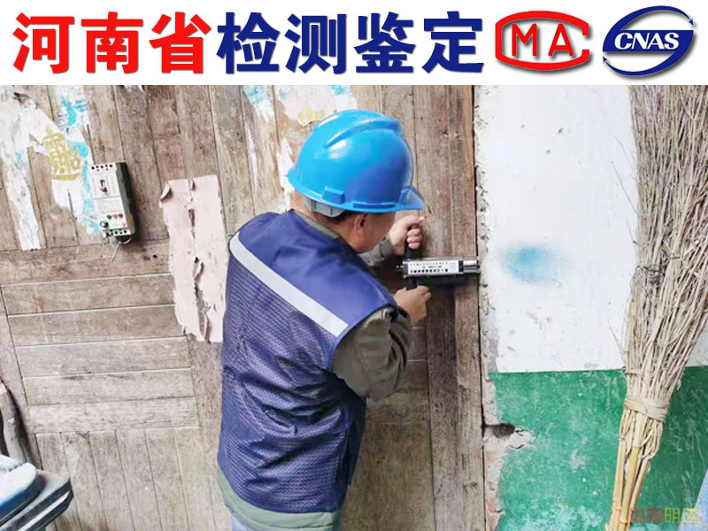 香港免费资料六会宝典